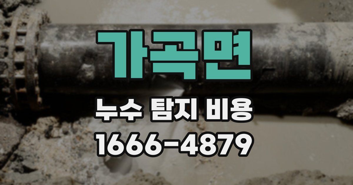가곡면 누수 탐지 비용