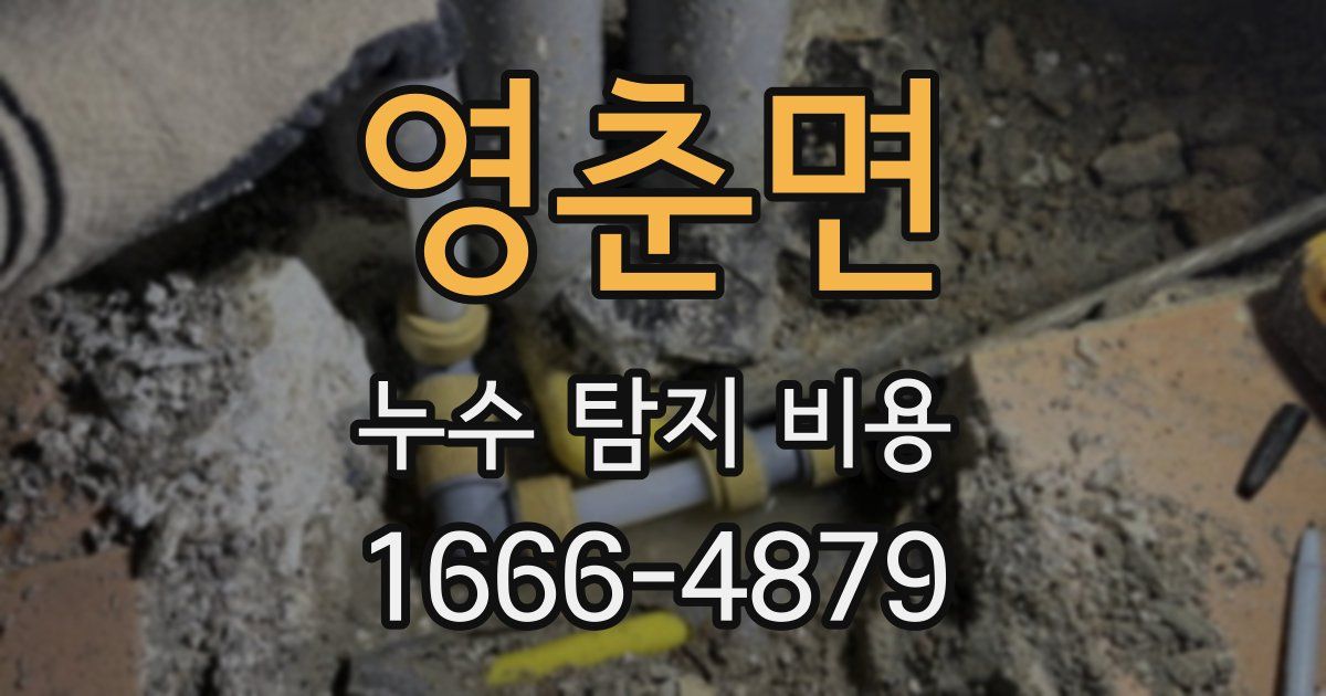 영춘면 누수 탐지 비용
