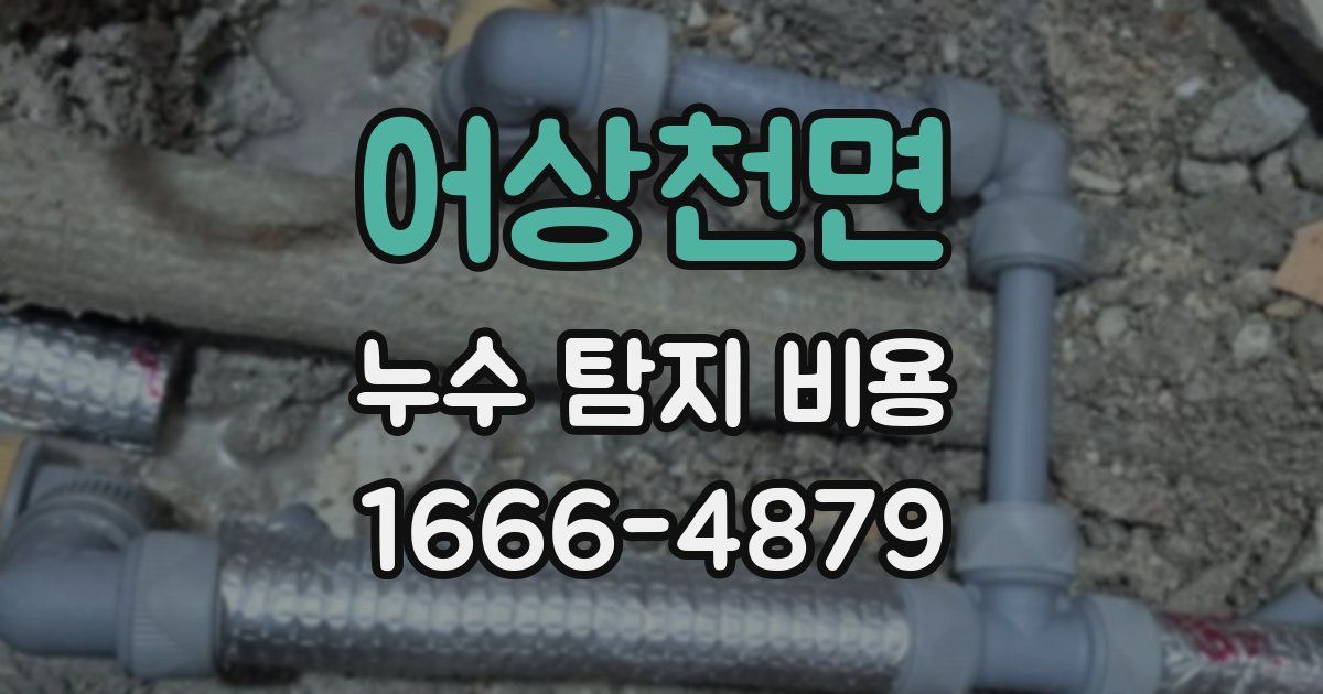 어상천면 누수 탐지 비용