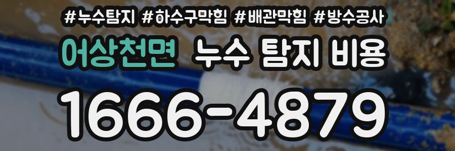 어상천면 누수 탐지 비용