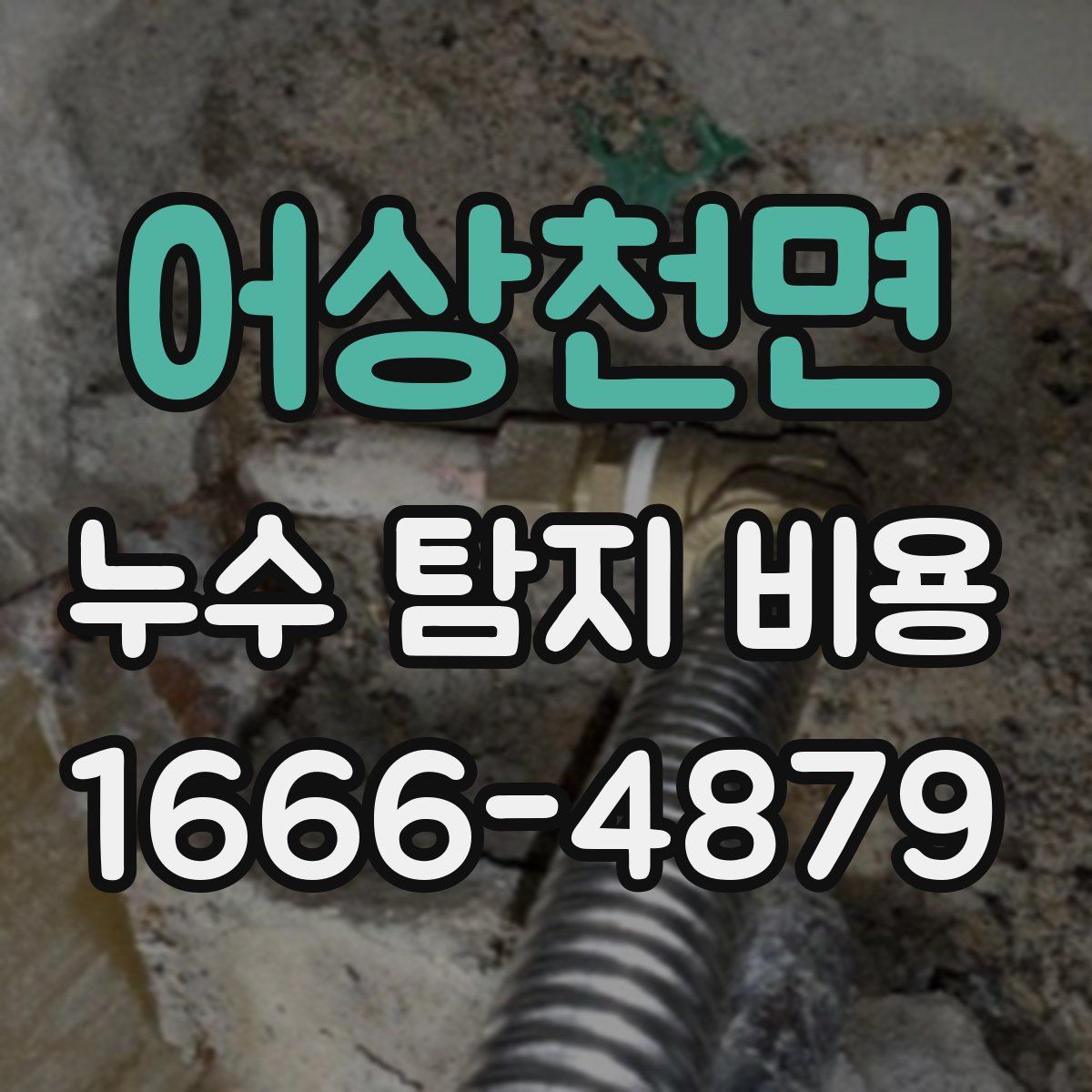 어상천면 누수 탐지 비용
