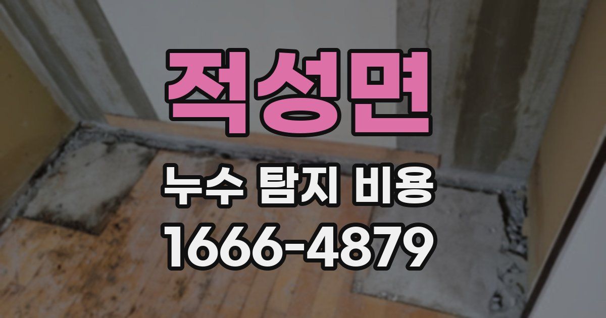 적성면 누수 탐지 비용