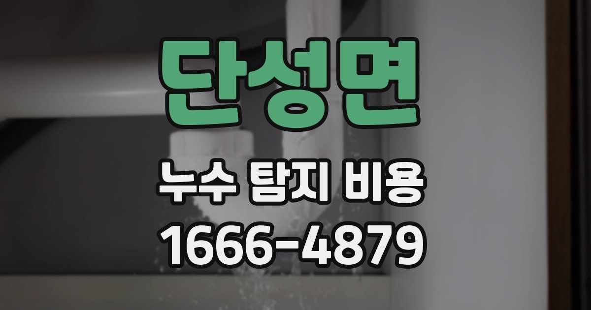 단성면 누수 탐지 비용