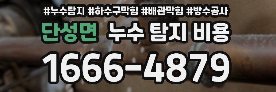 단성면 누수 탐지 비용