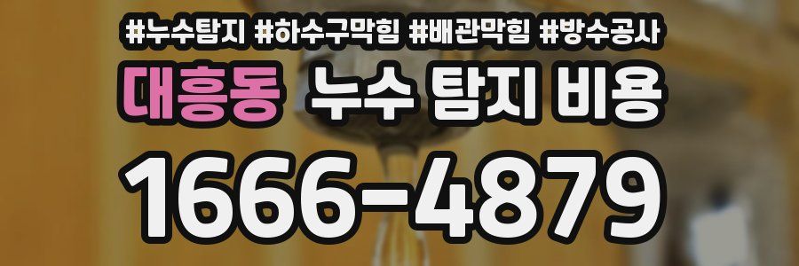 대흥동 누수 탐지 비용