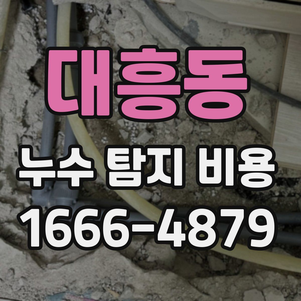대흥동 누수 탐지 비용