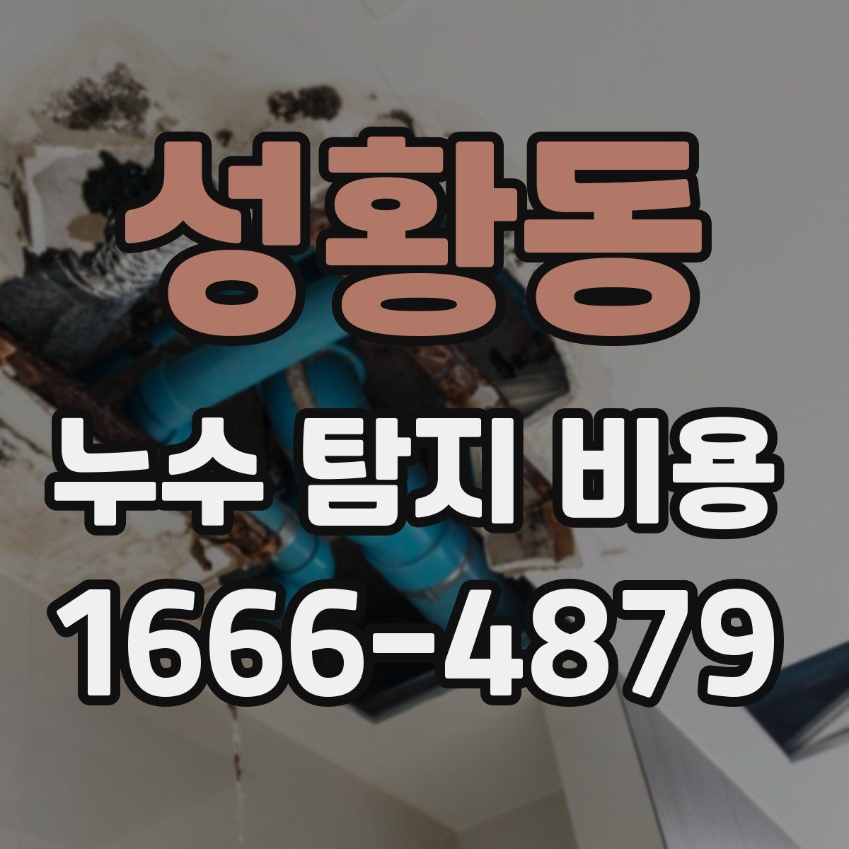 성황동 누수 탐지 비용