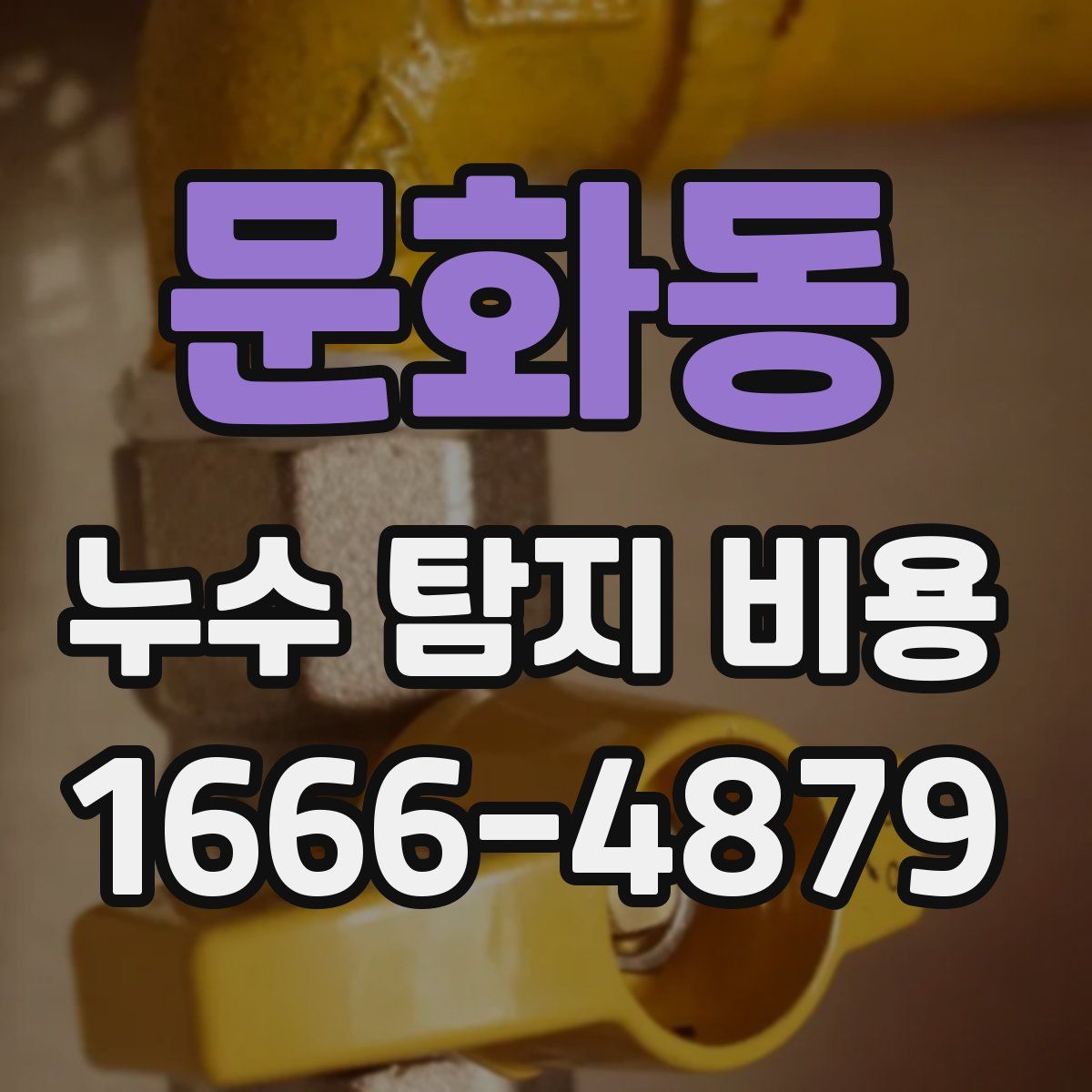 문화동 누수 탐지 비용