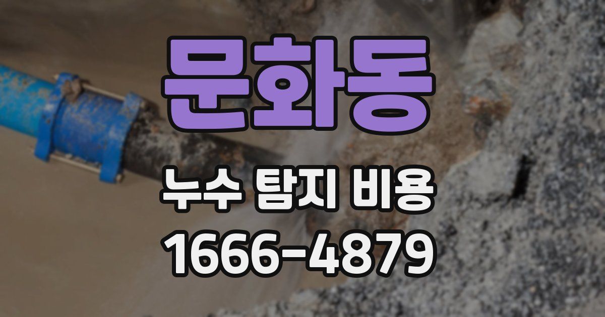 문화동 누수 탐지 비용