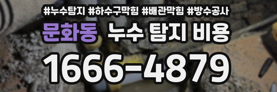 문화동 누수 탐지 비용