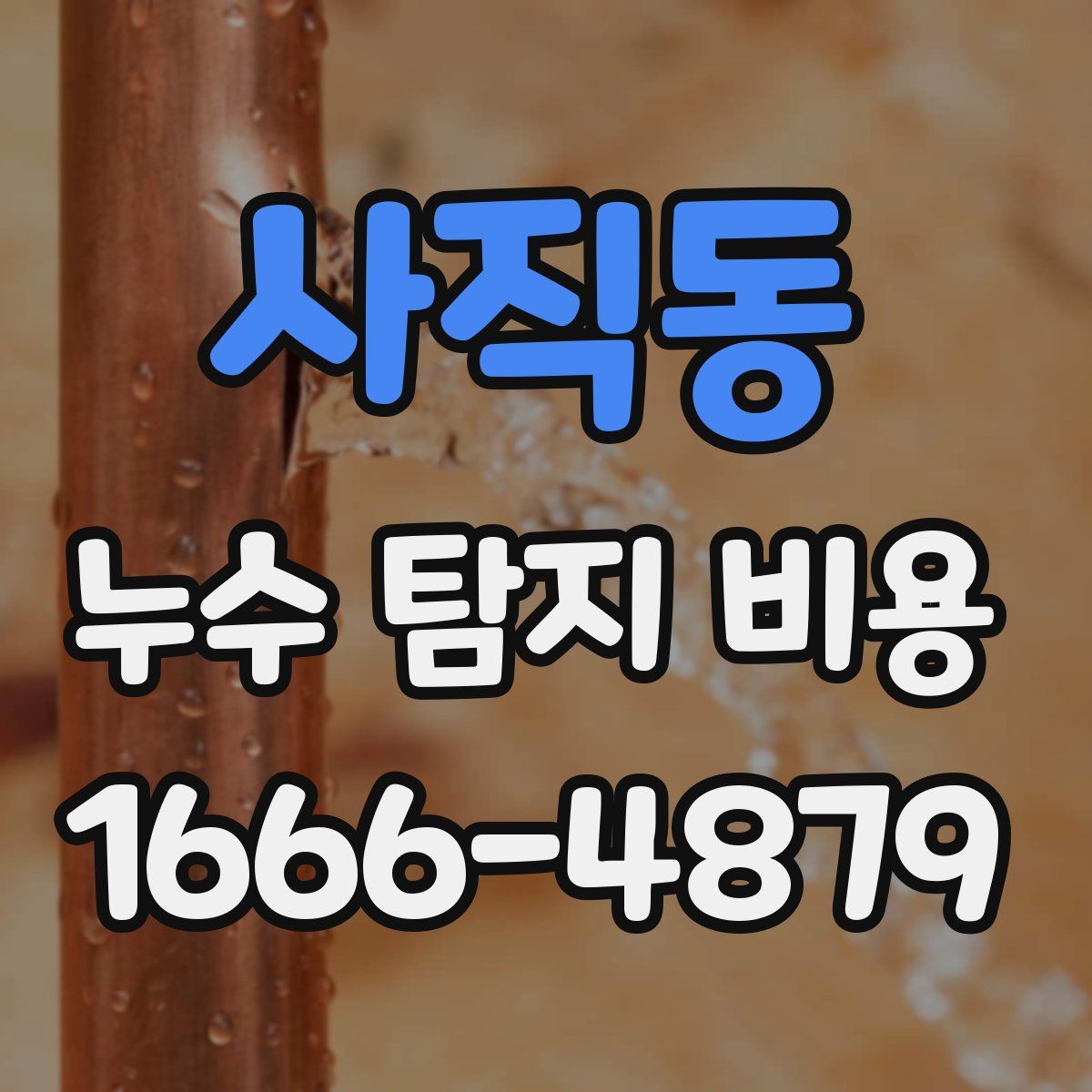 사직동 누수 탐지 비용