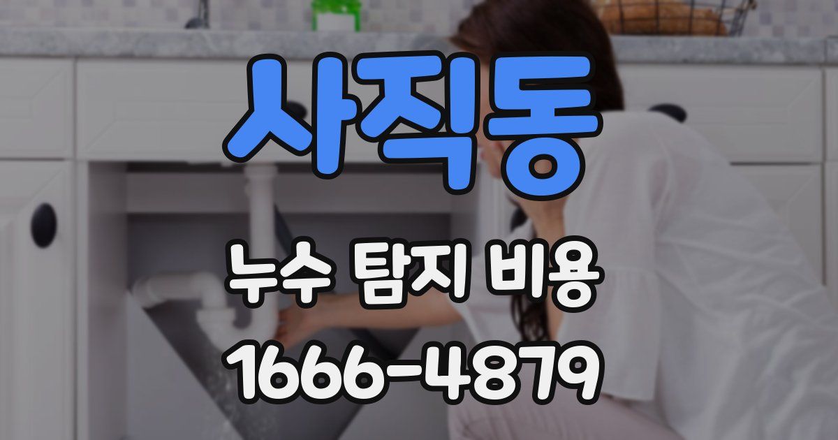 사직동 누수 탐지 비용