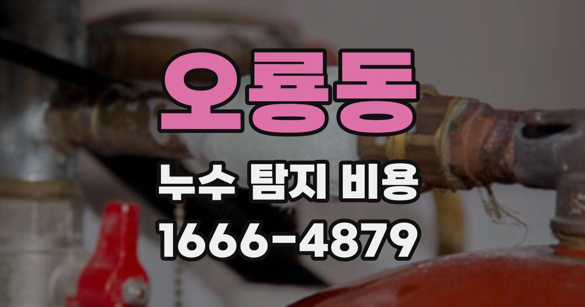 오룡동 누수 탐지 비용