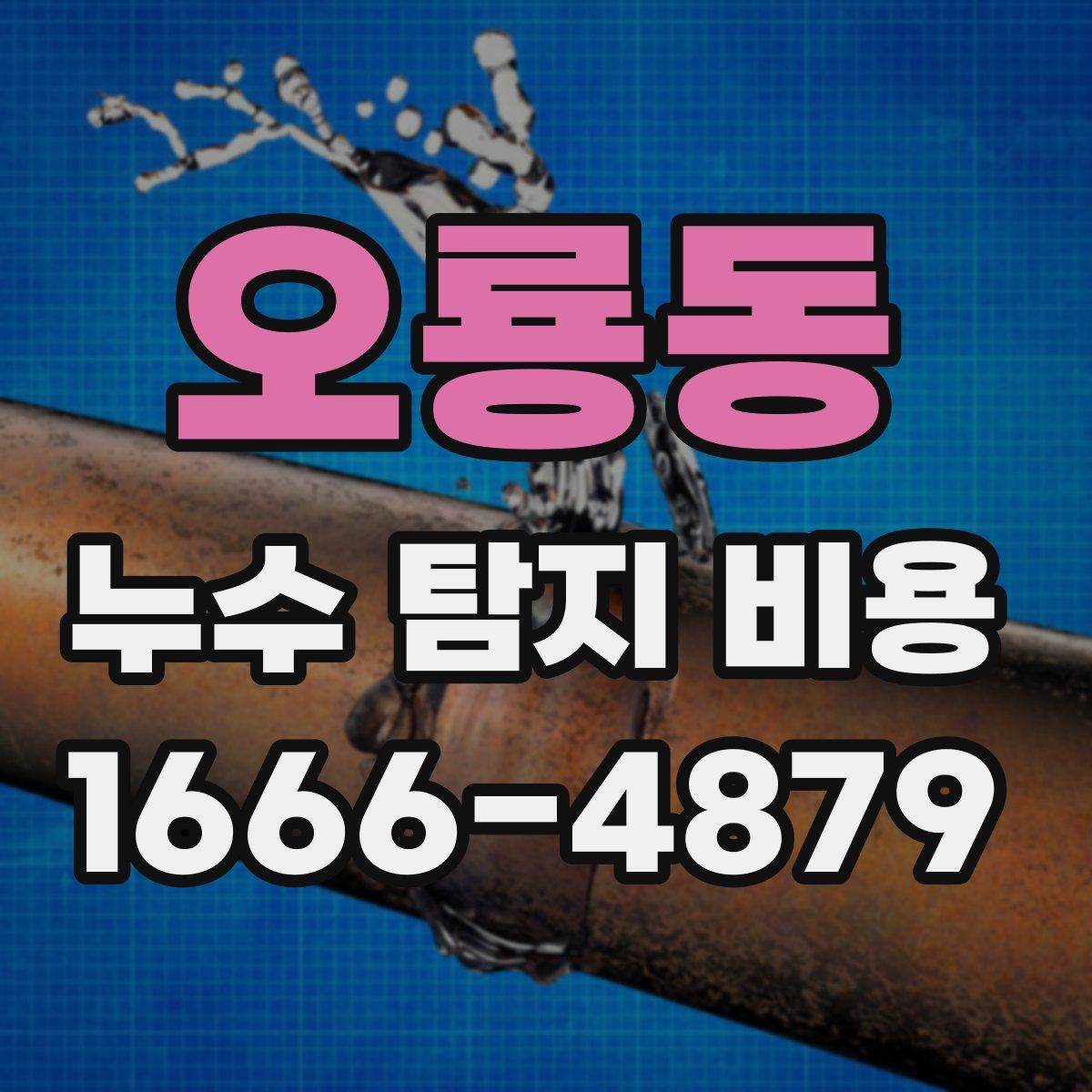 오룡동 누수 탐지 비용