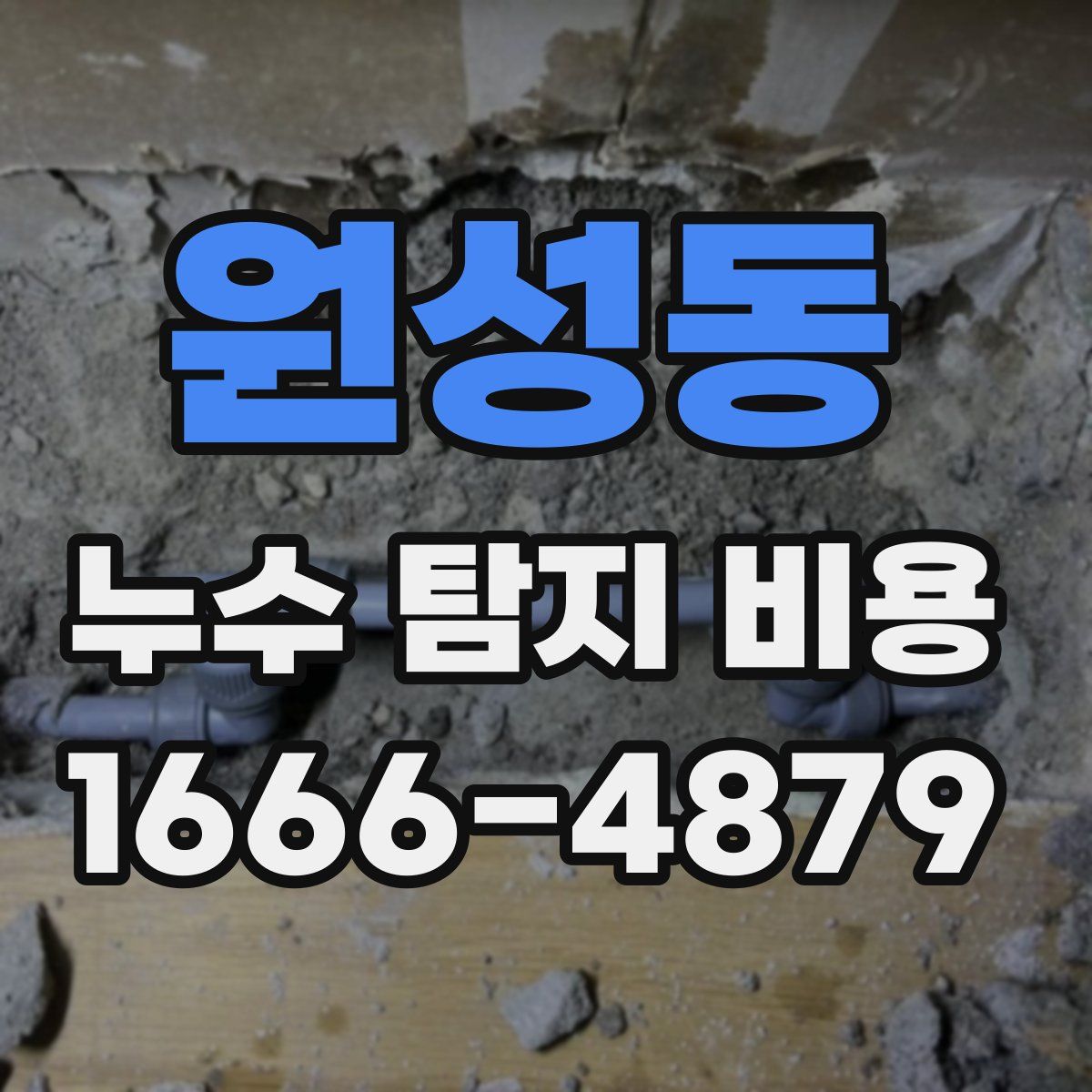 원성동 누수 탐지 비용