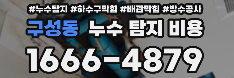 구성동 누수 탐지 비용
