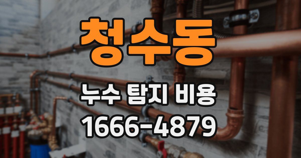 청수동 누수 탐지 비용