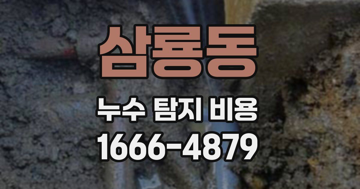 삼룡동 누수 탐지 비용