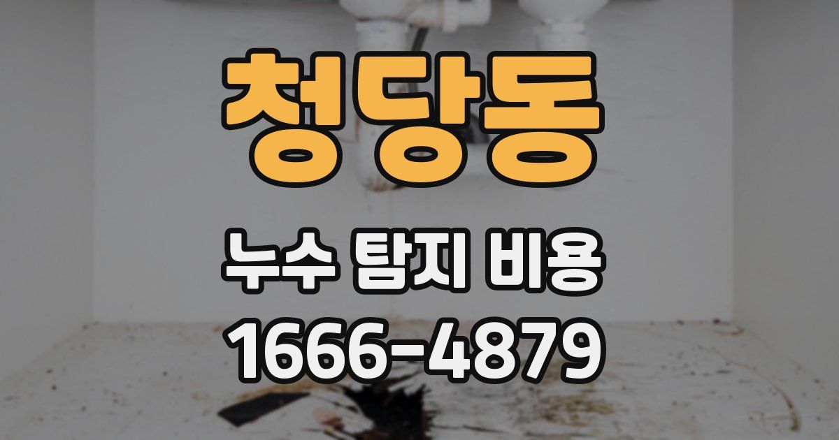 청당동 누수 탐지 비용