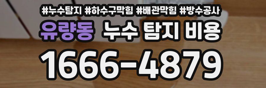 유량동 누수 탐지 비용