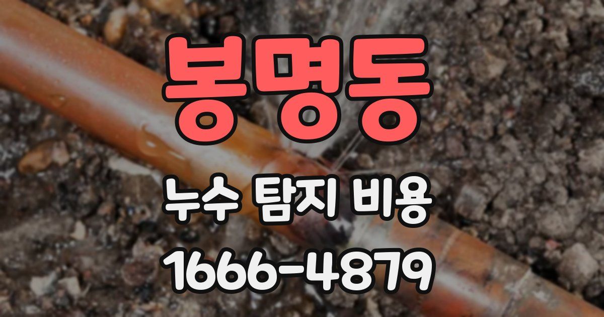 봉명동 누수 탐지 비용