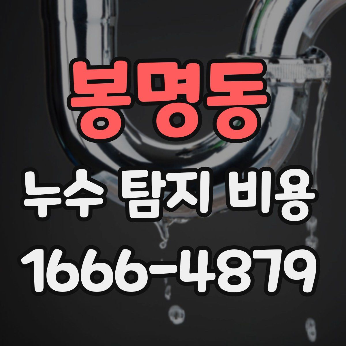 봉명동 누수 탐지 비용