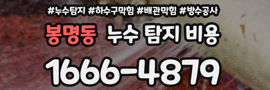 봉명동 누수 탐지 비용
