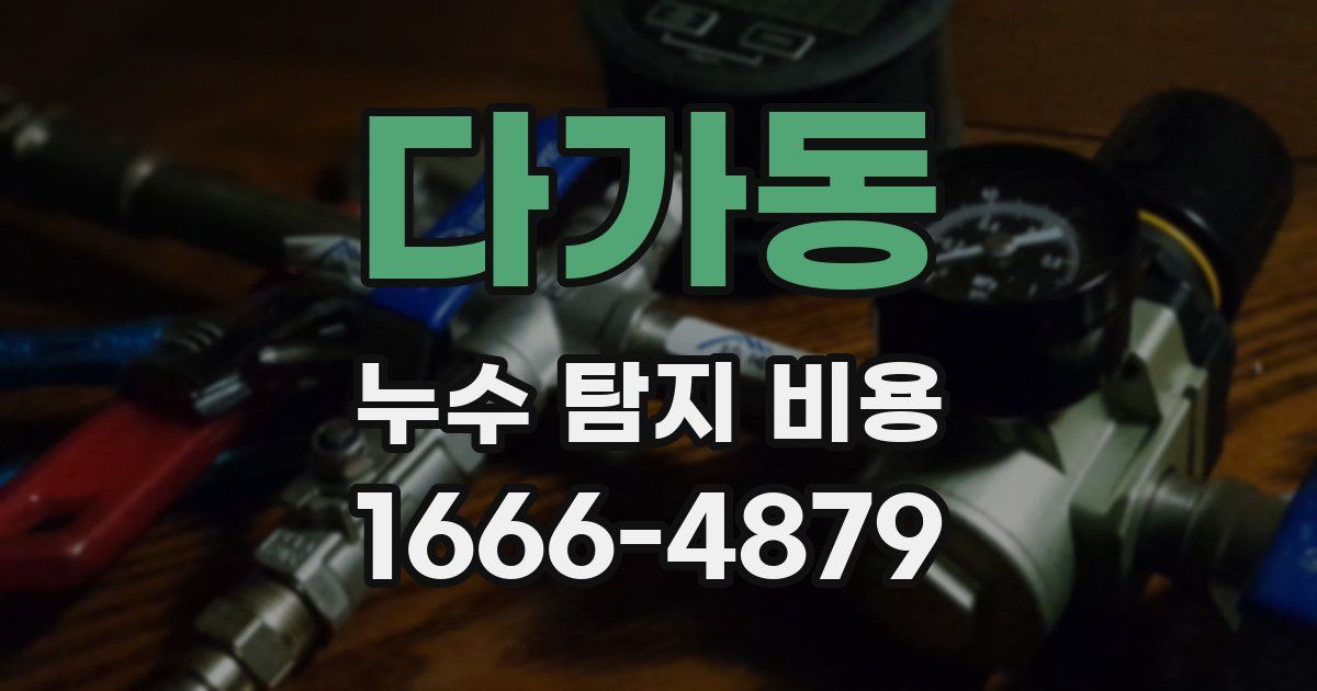 다가동 누수 탐지 비용