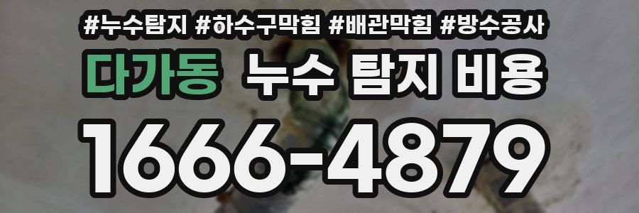 다가동 누수 탐지 비용