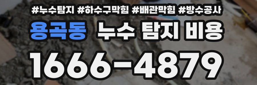 용곡동 누수 탐지 비용