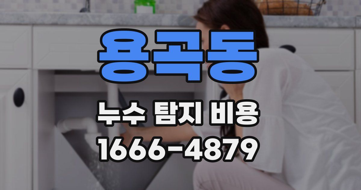 용곡동 누수 탐지 비용