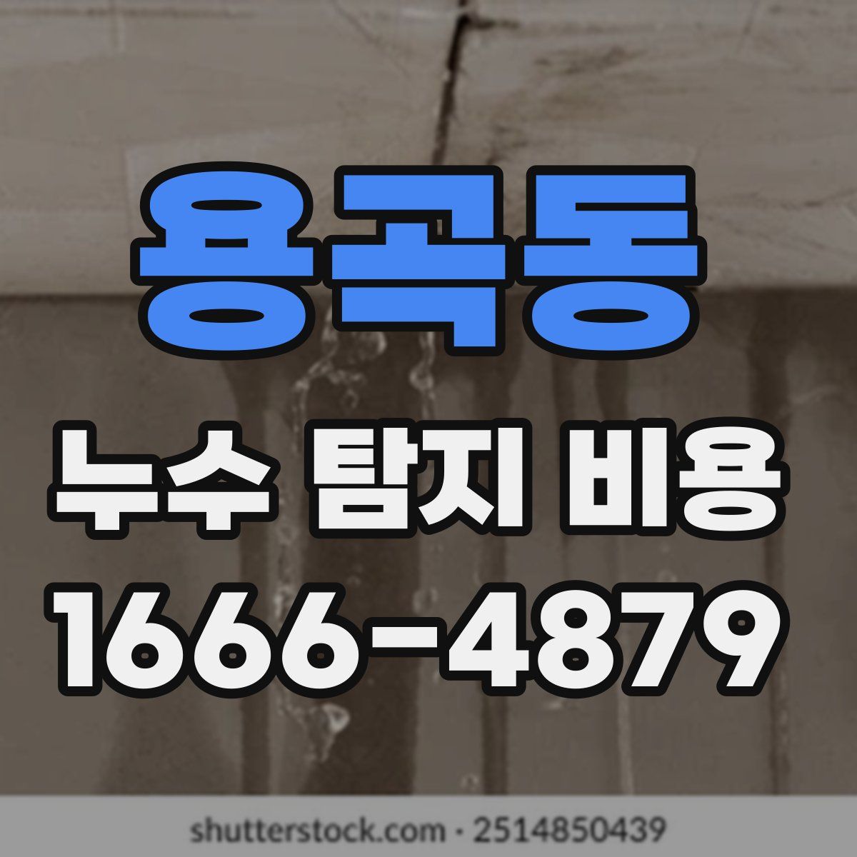용곡동 누수 탐지 비용