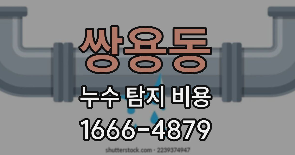 쌍용동 누수 탐지 비용