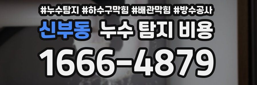 신부동 누수 탐지 비용