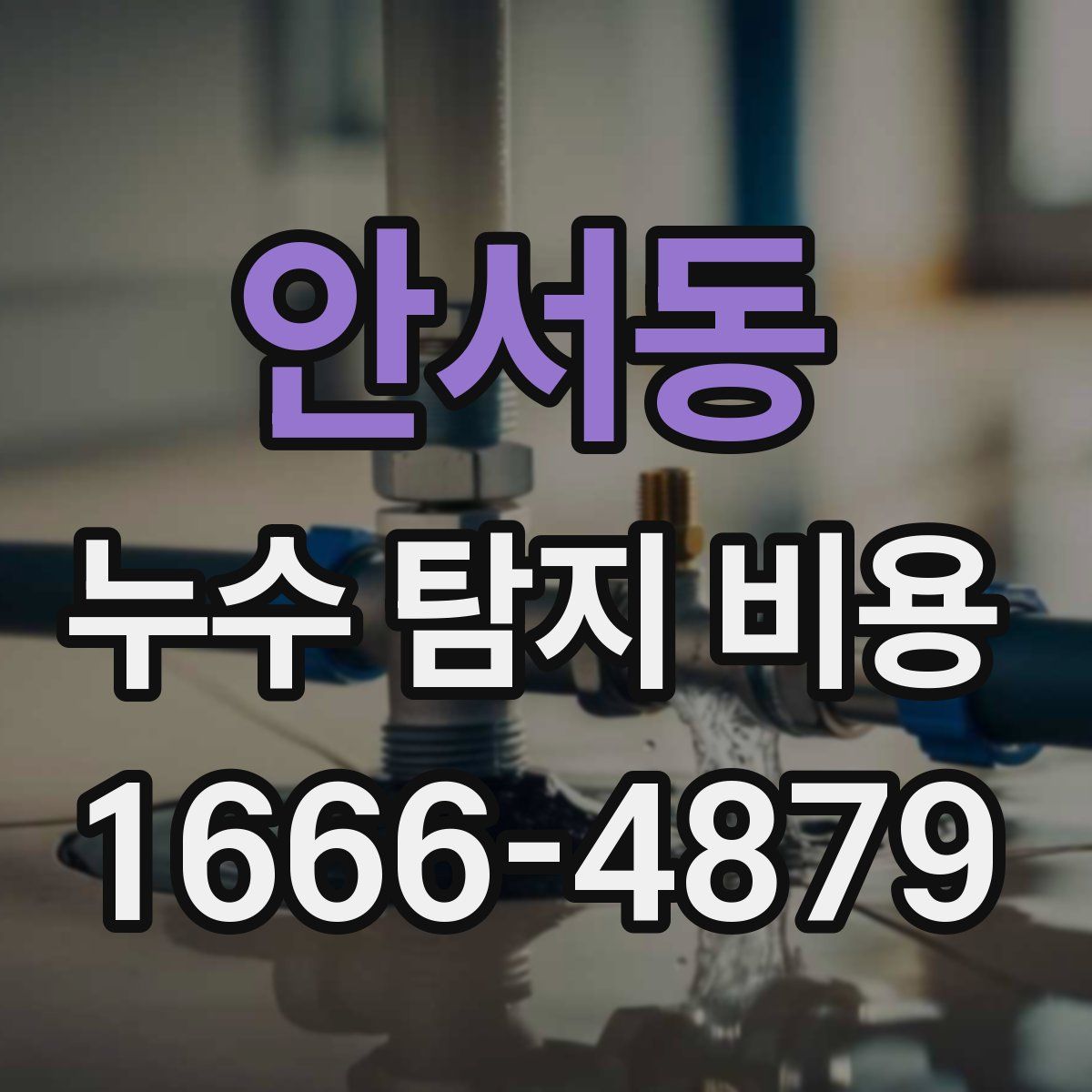 안서동 누수 탐지 비용