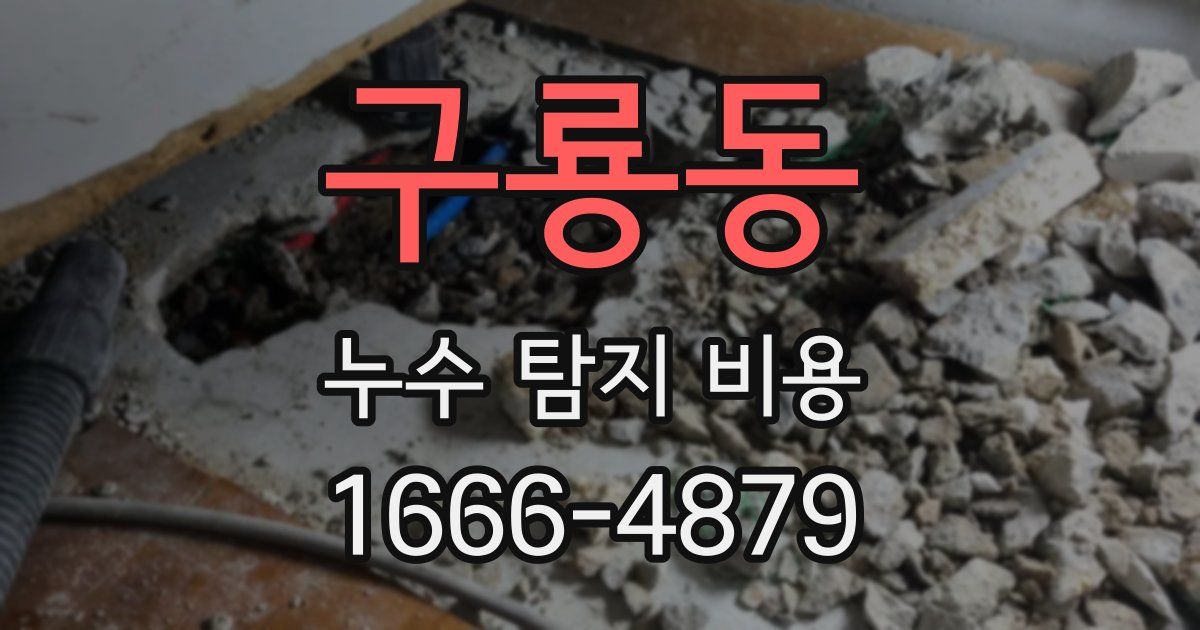 구룡동 누수 탐지 비용