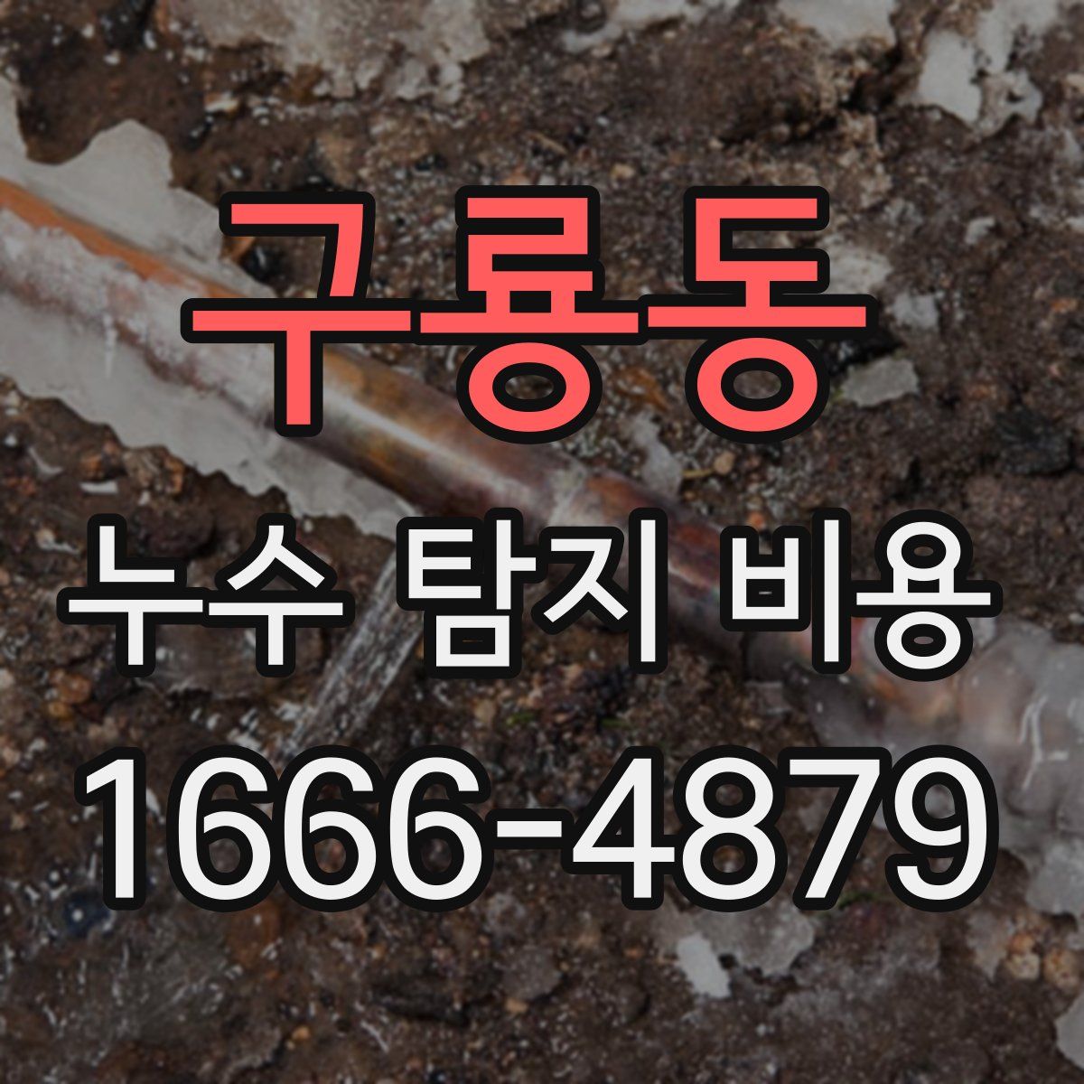구룡동 누수 탐지 비용