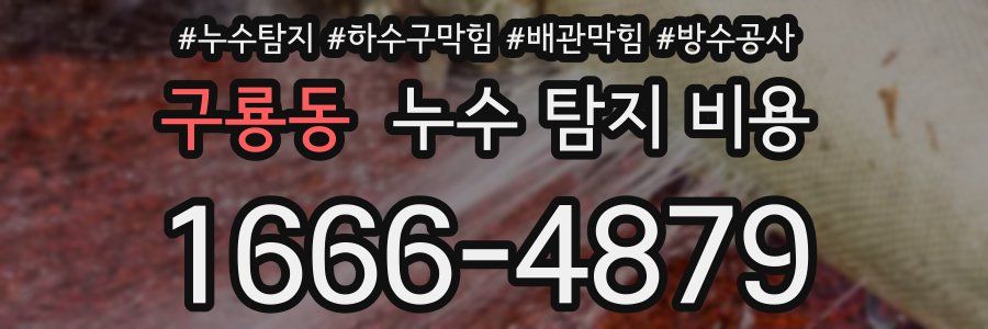 구룡동 누수 탐지 비용