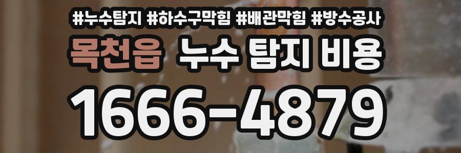 목천읍 누수 탐지 비용