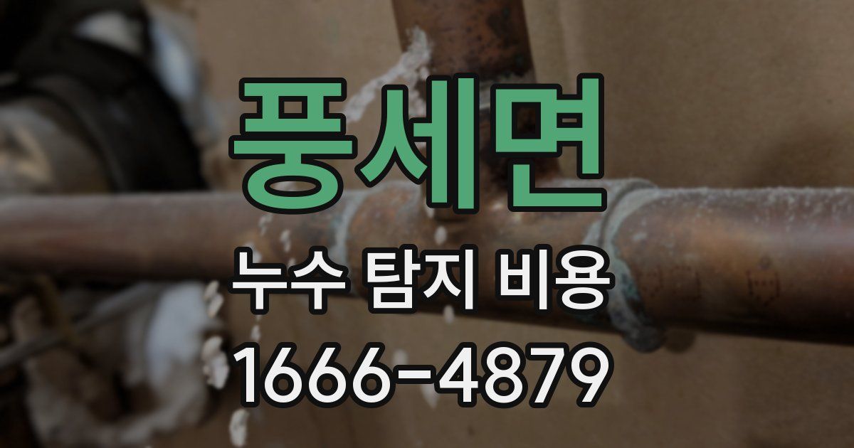 풍세면 누수 탐지 비용
