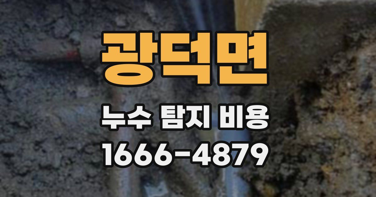 광덕면 누수 탐지 비용