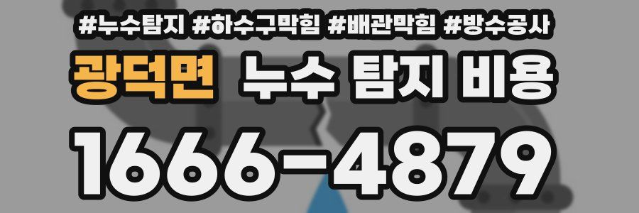 광덕면 누수 탐지 비용