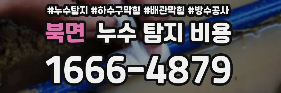 북면 누수 탐지 비용
