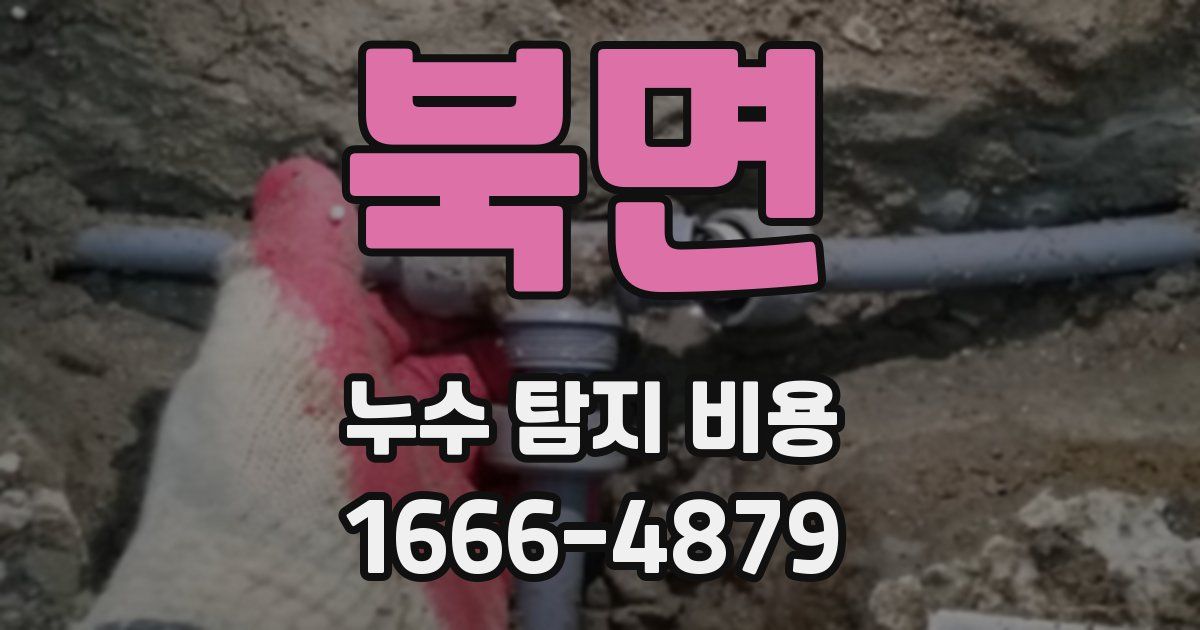 북면 누수 탐지 비용