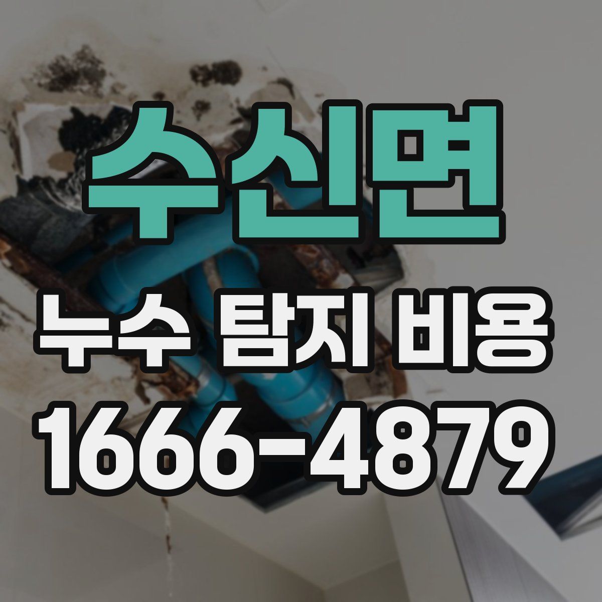 수신면 누수 탐지 비용
