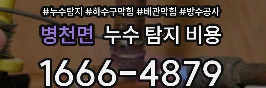 병천면 누수 탐지 비용