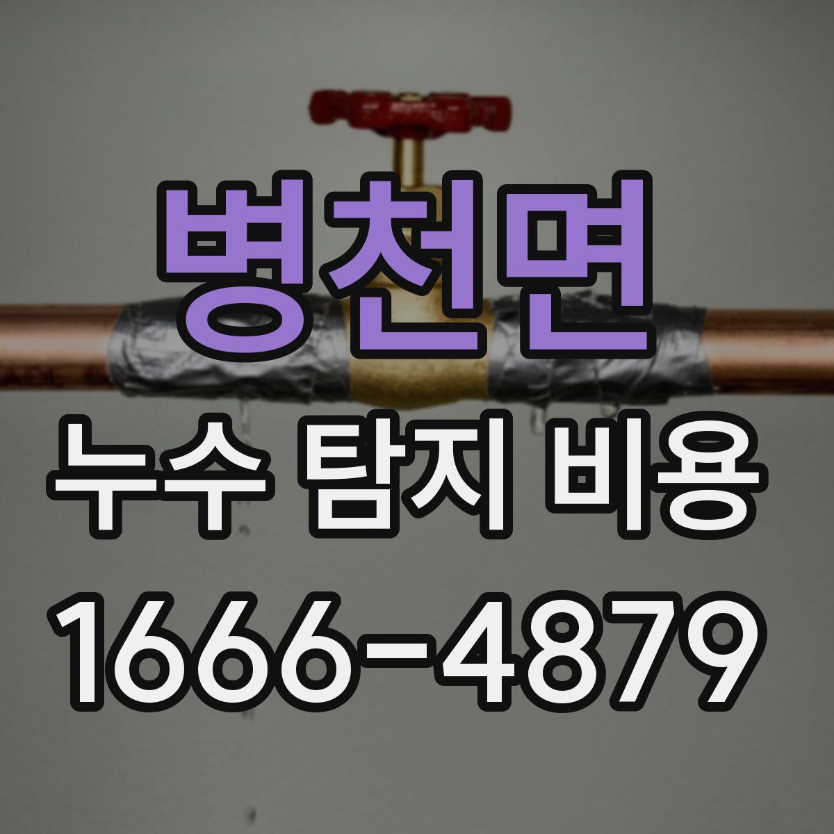 병천면 누수 탐지 비용