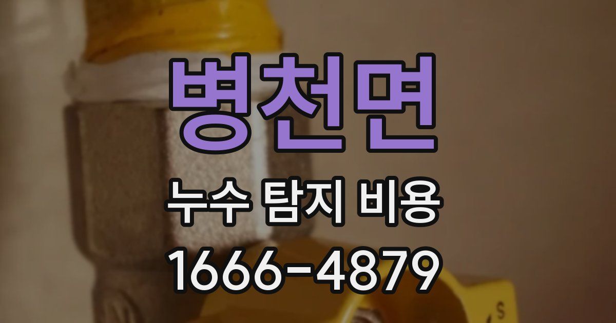병천면 누수 탐지 비용
