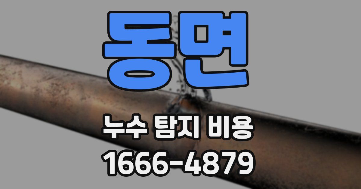 동면 누수 탐지 비용