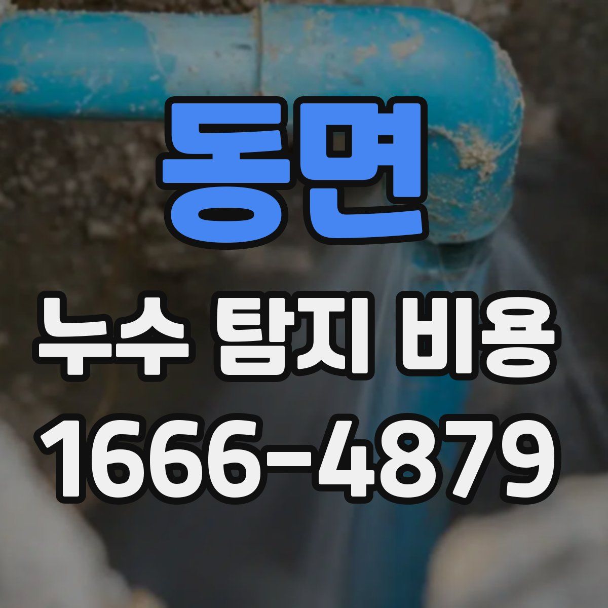 동면 누수 탐지 비용